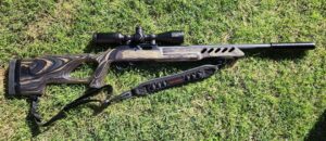 Ruger 10/22 Target Lite Black Laminate