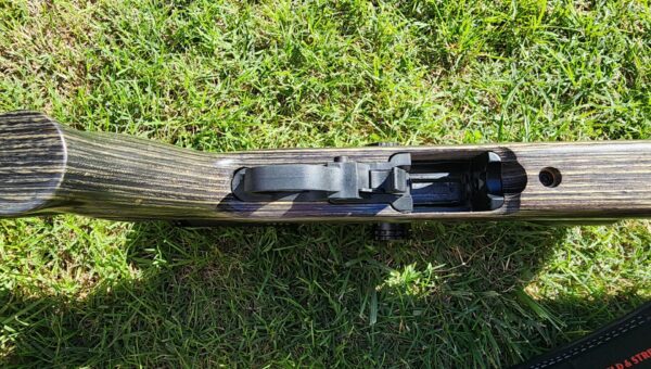 Ruger 10/22 Target Lite Black Laminate - Image 4